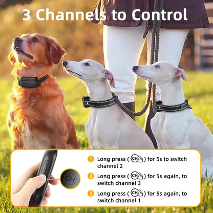 RYNX | Rechargeable Waterproof Dog Training Collar