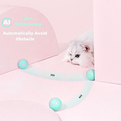 Rynx | Interactive smart cat ball: The ultimate indoor play break for your cat