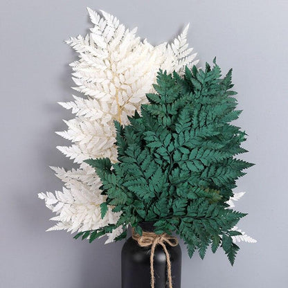 Rynx | Alpine Serenity Fern Decor Kit: Bring the Essence of Nature Indoors