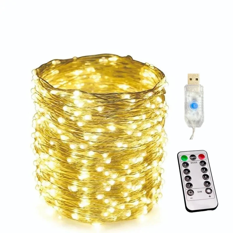 Rynx | Copper wire fairy lights