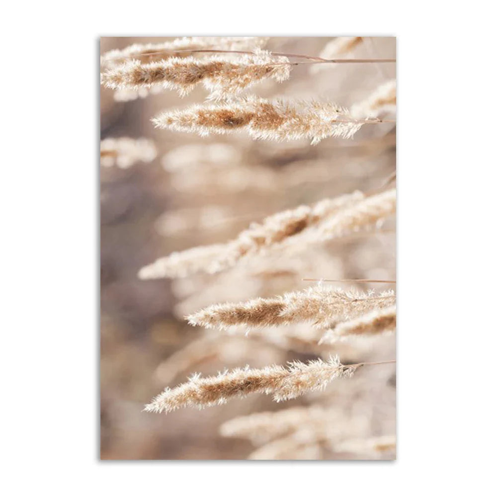 Rynx | Academy Beach Canvas Poster