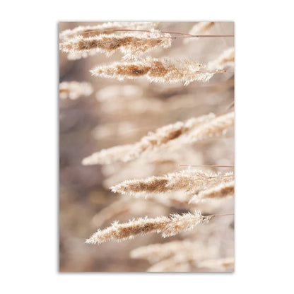 Rynx | Academy Beach Canvas Poster