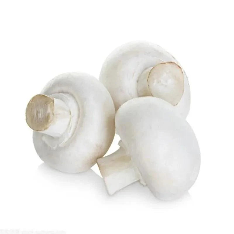 Rynx | Charming Faux Mushroom Decor Collection - 6 Life-like Models for Home and Photography Enhancement