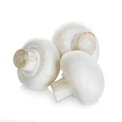 Rynx | Charming Faux Mushroom Decor Collection - 6 Life-like Models for Home and Photography Enhancement