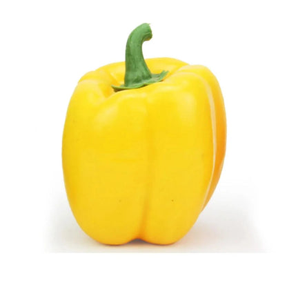 Rynx | Lifelike Decorative Foam Chili Pepper - Perfect for Home Aesthetics and Photography Props