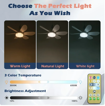 Rynx | Elegant Flower Energy Saving RC Ceiling Fan Lamp