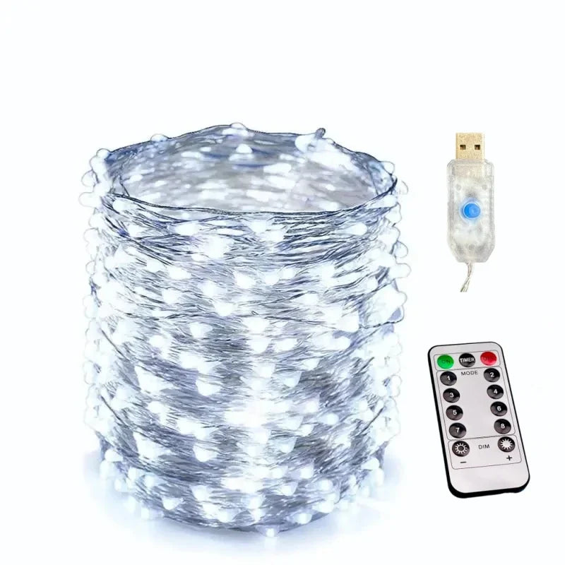 Rynx | Copper wire fairy lights