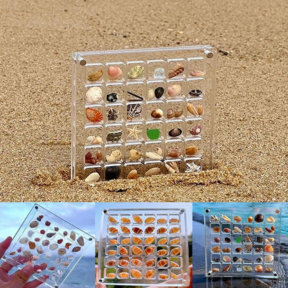Rynx | Acrylmuschel Display-Box mit Magneten Langlebige Seestern Schmuckaufbewahrungsbox für Perlen-Nagelschmuck