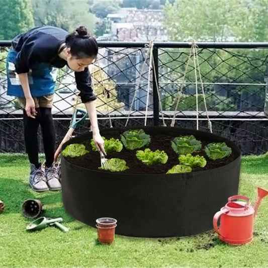 Rynx | Cultivation Box - Mini Kitchen Garden for Every Home