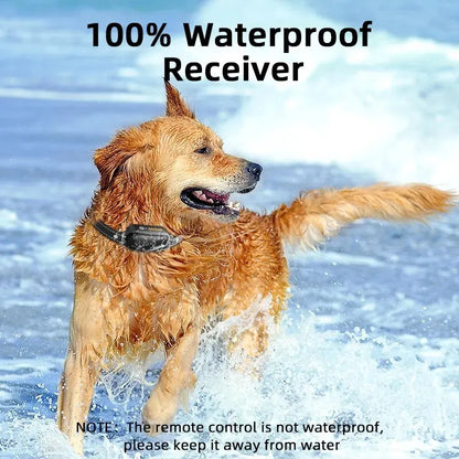 RYNX | Rechargeable Waterproof Dog Training Collar
