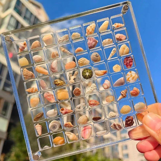 Rynx | Acrylmuschel Display-Box mit Magneten Langlebige Seestern Schmuckaufbewahrungsbox für Perlen-Nagelschmuck