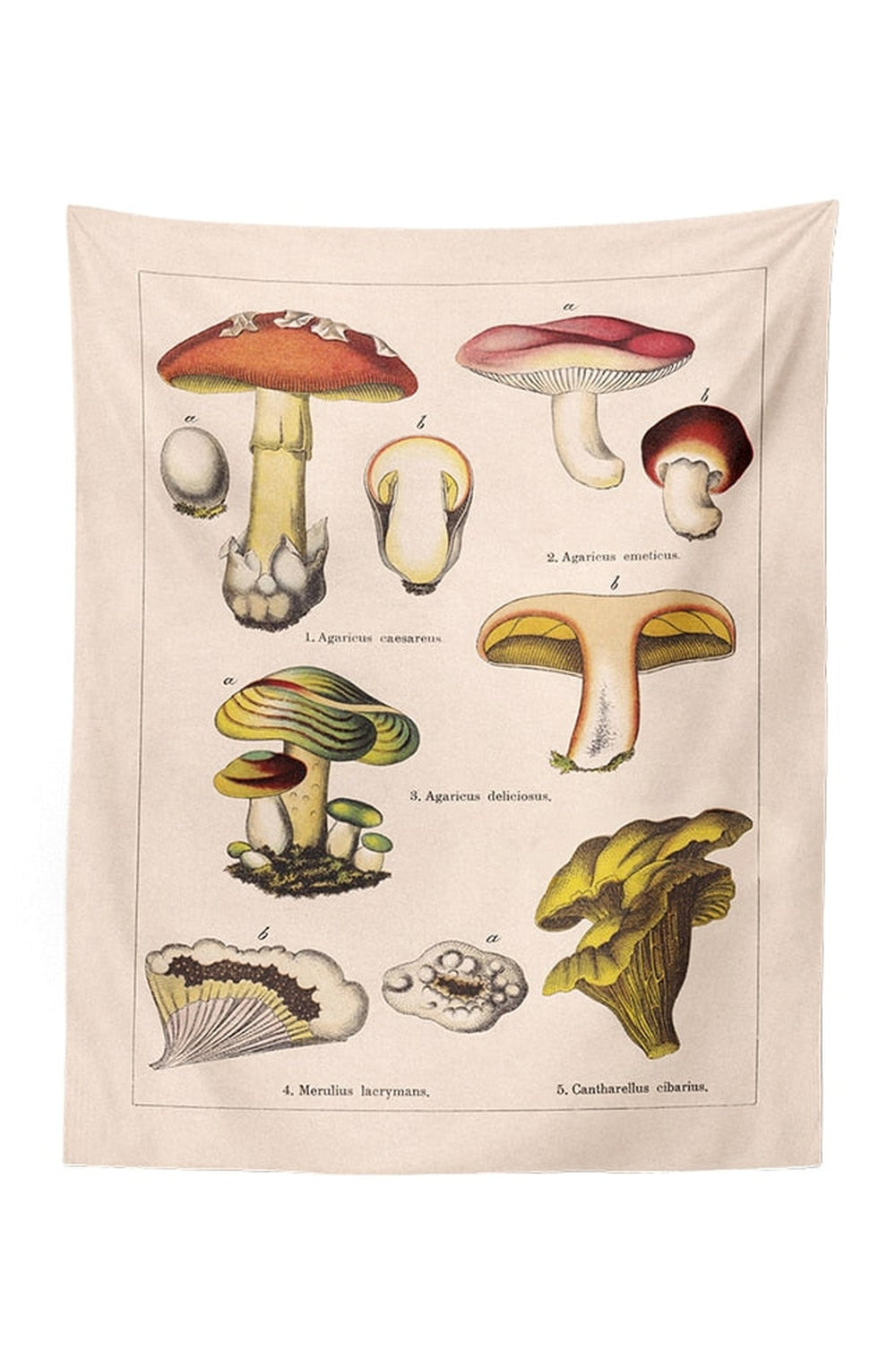 Rynx | Mushroom Map Tapestry