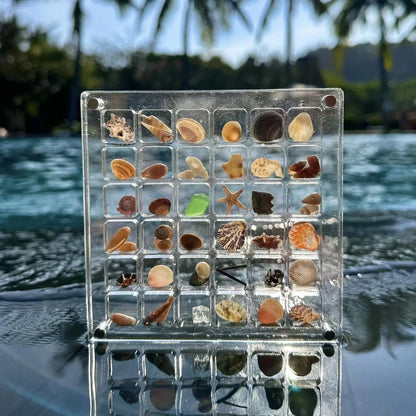 Rynx | Acrylmuschel Display-Box mit Magneten Langlebige Seestern Schmuckaufbewahrungsbox für Perlen-Nagelschmuck