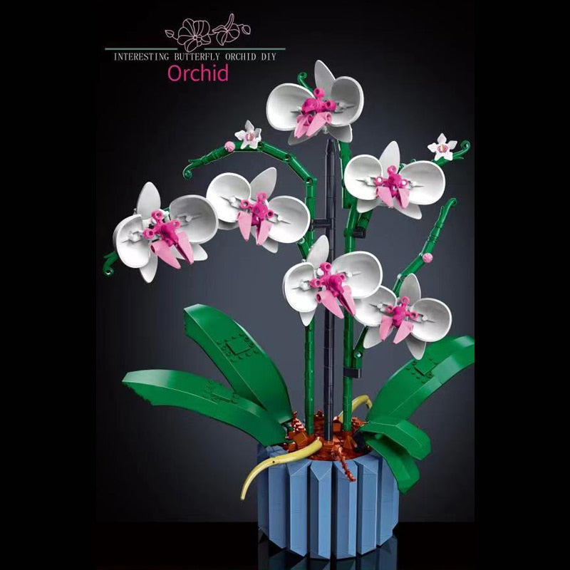 Rynx | Botanical Collection Decor