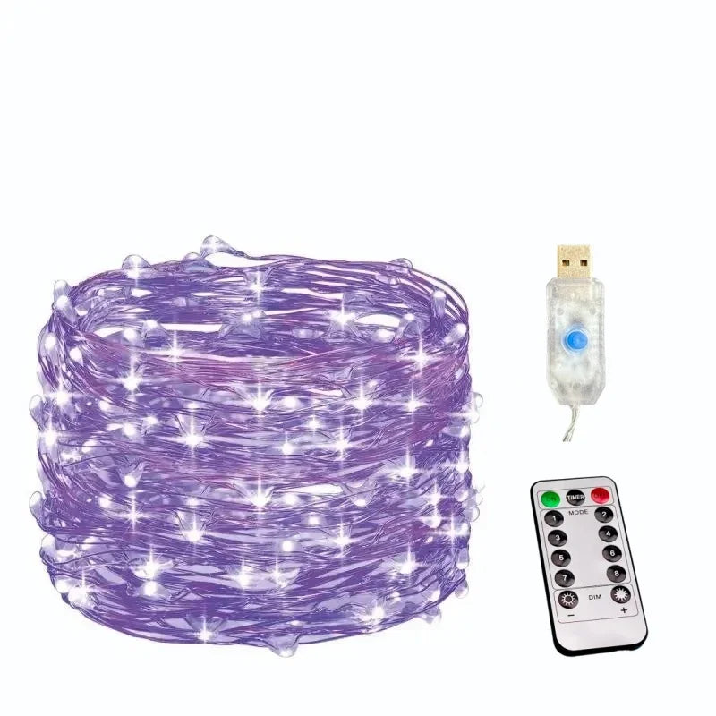 Rynx | Copper wire fairy lights