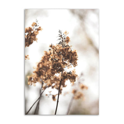 Rynx | Academy Beach Canvas Poster