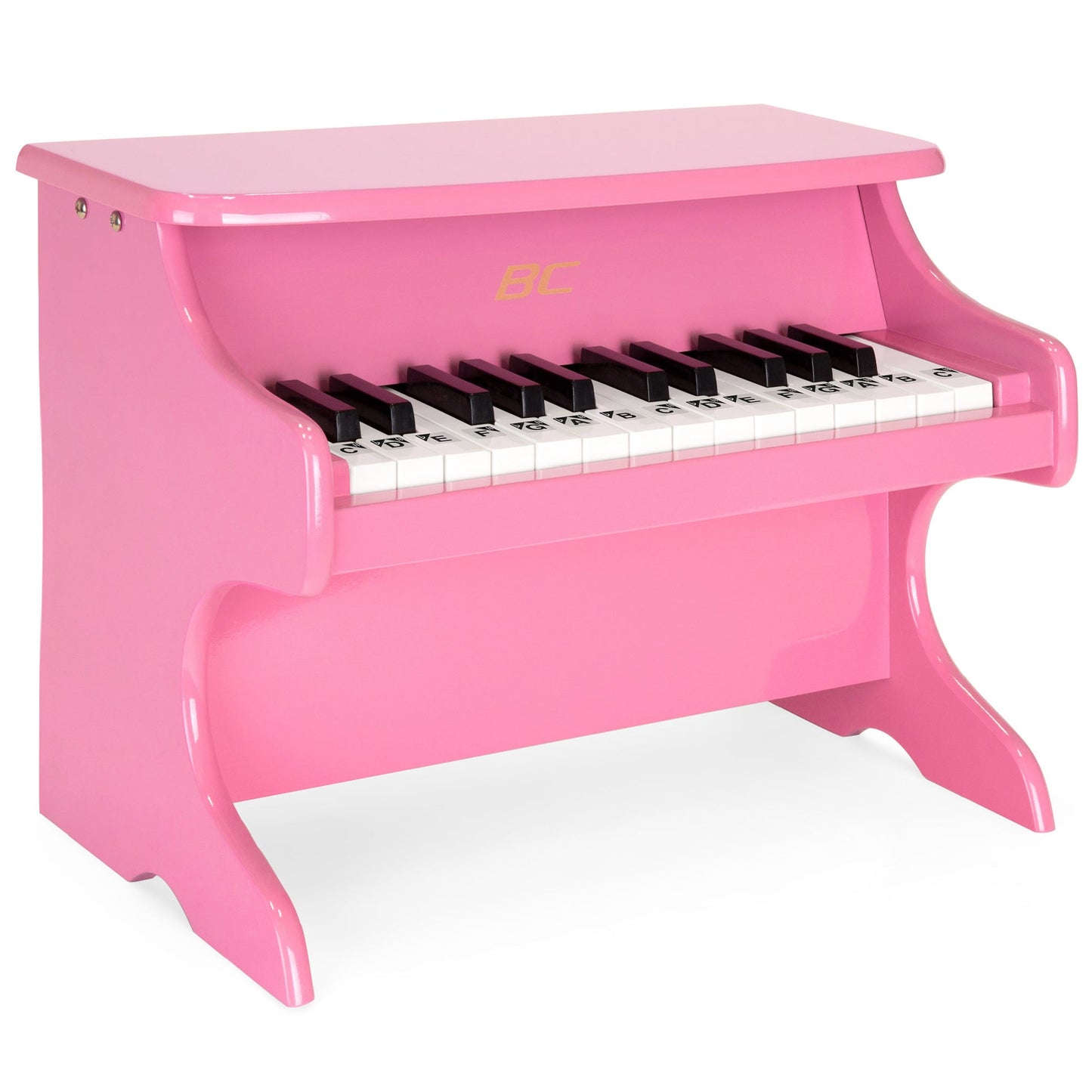 Rynx | Kids 25-Key Wooden Learning Mini Piano with Key Note Stickers, Music Book