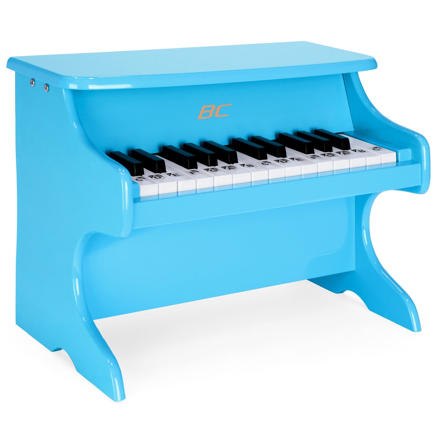 Rynx | Kids 25-Key Wooden Learning Mini Piano with Key Note Stickers, Music Book
