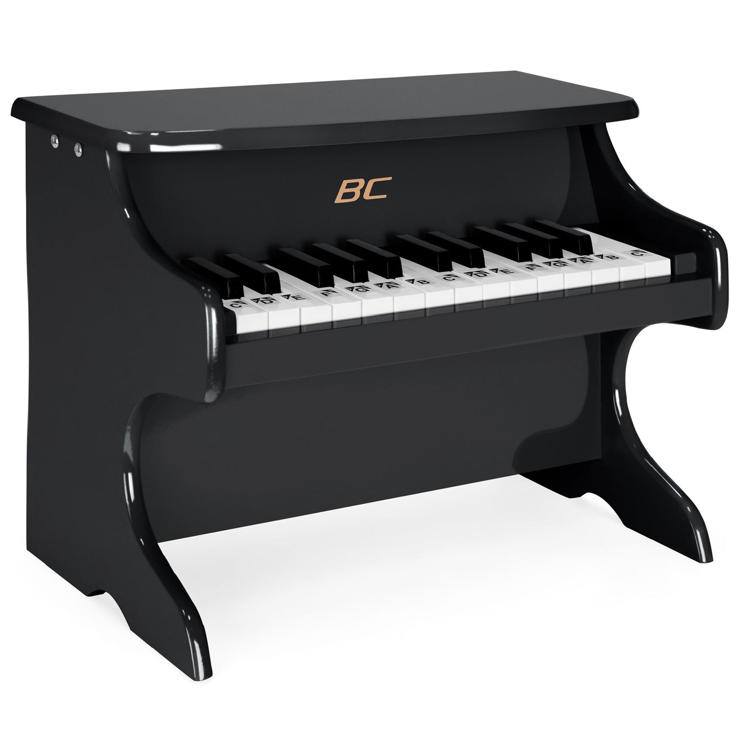 Rynx | Kids 25-Key Wooden Learning Mini Piano with Key Note Stickers, Music Book