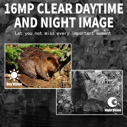 Rynx | PR300 Pro Outdoor Night Vision Hunting Tracking Camera 16MP Motion Activated