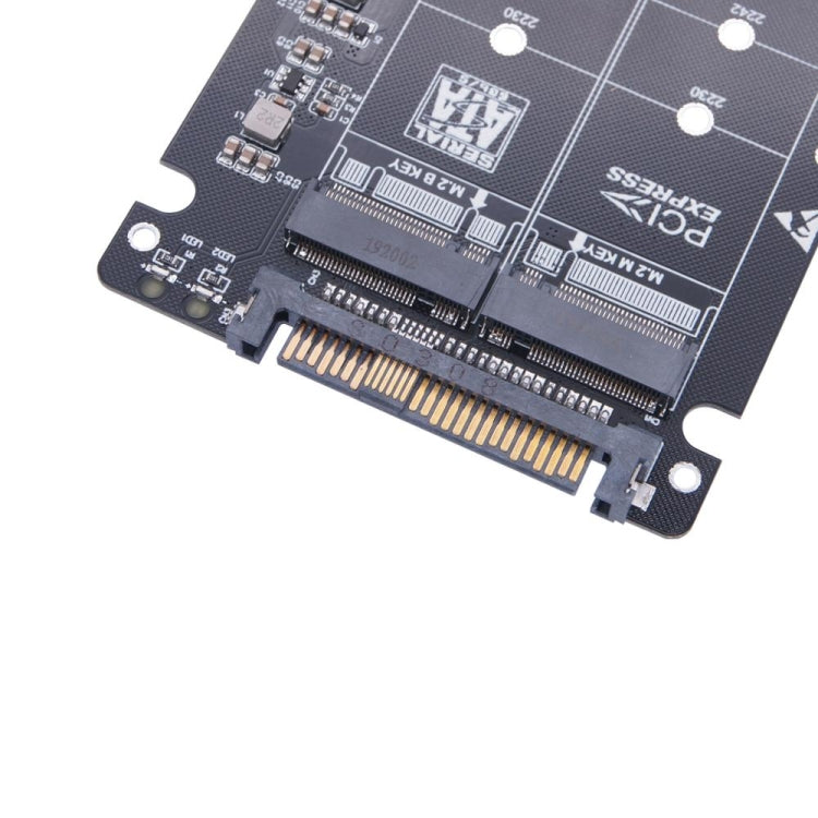 Rynx | NGFF M.2 NVME to U.2 2 Ports Adapter Card Dual SSD to U.2 SFF-8639 Card Adapter