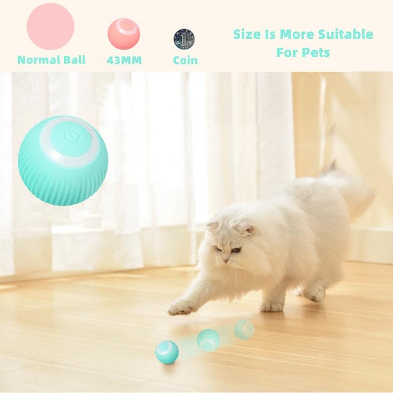 Rynx | Interactive smart cat ball: The ultimate indoor play break for your cat