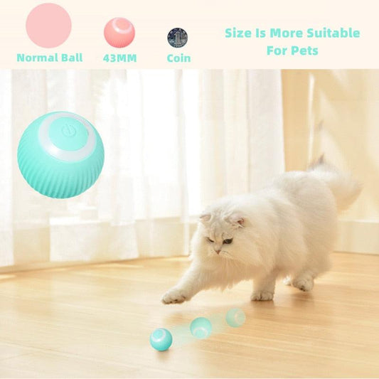 Rynx | Interactive smart cat ball: The ultimate indoor play break for your cat