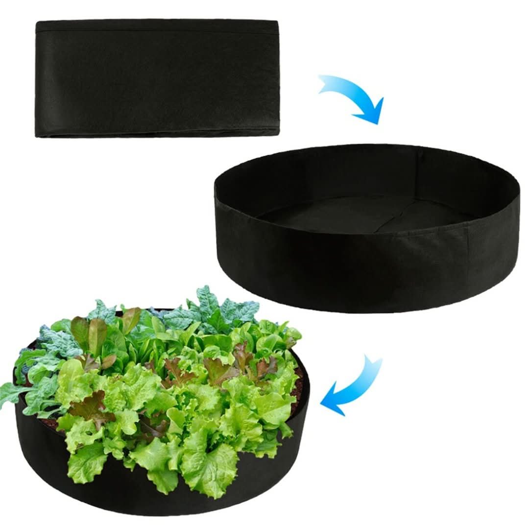 Rynx | Cultivation Box - Mini Kitchen Garden for Every Home