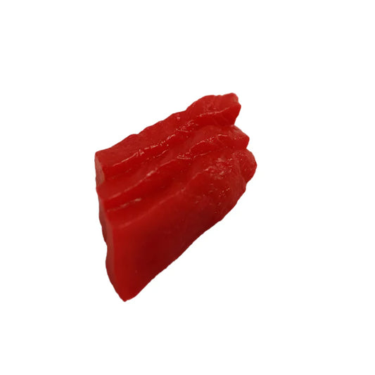 Rynx | Life-Size Sushi Replica Collection - Salmon and Tuna Models for Home Decoration and Photography
