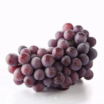 Rynx | Together for seedless grape vine – Low maintenance & no trellis required