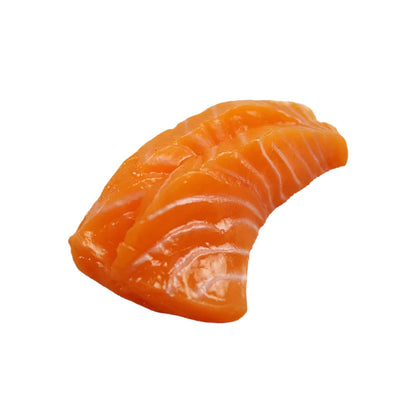 Rynx | Life-Size Sushi Replica Collection - Salmon and Tuna Models for Home Decoration and Photography