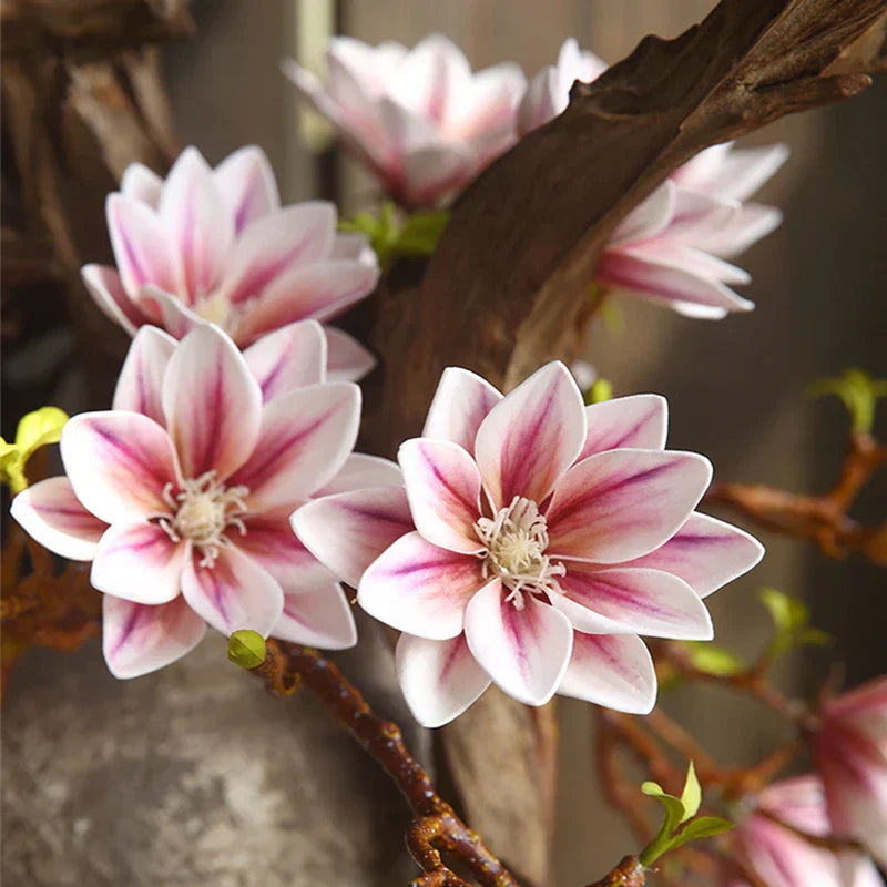 Rynx | Artificial Magnolia Flowers