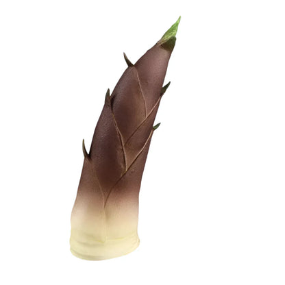 Rynx | Elegant Faux Bamboo Shoot Decoration - Life-like Vegetables - Table Decoration for Home and Dining Areas