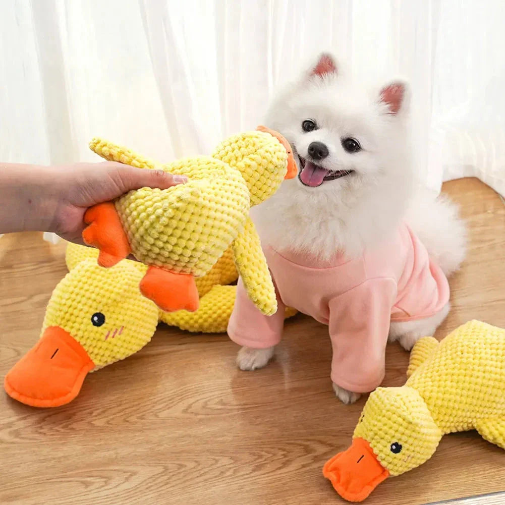 Rynx | Quack toy