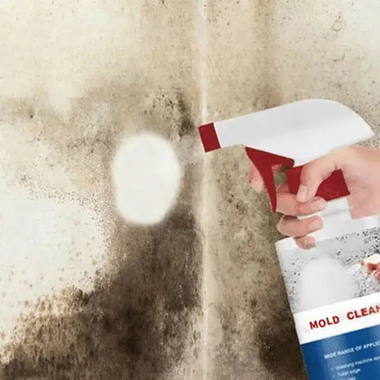Rynx | Mold Remover Foam Spray