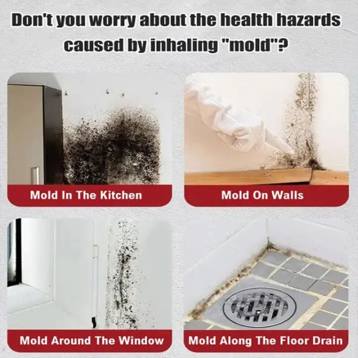Rynx | Mold Remover Foam Spray
