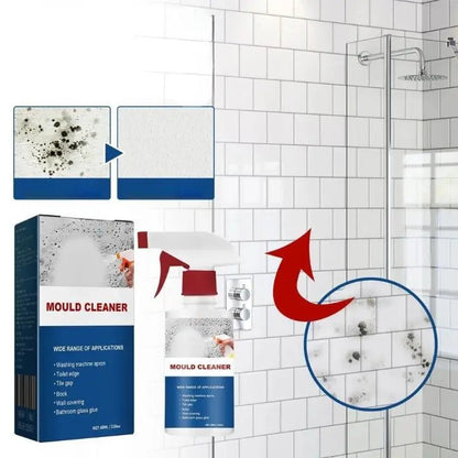 Rynx | Mold Remover Foam Spray