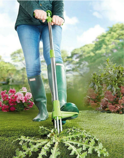 Rynx | Weed Puller - Lawn Roots Remover