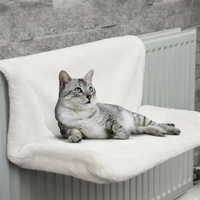 Rynx | Cat Bed-Canopy