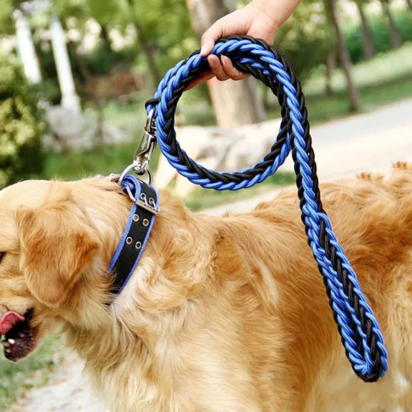 Rynx | Paws Adventure Strap