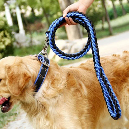 Rynx | Paws Adventure Strap