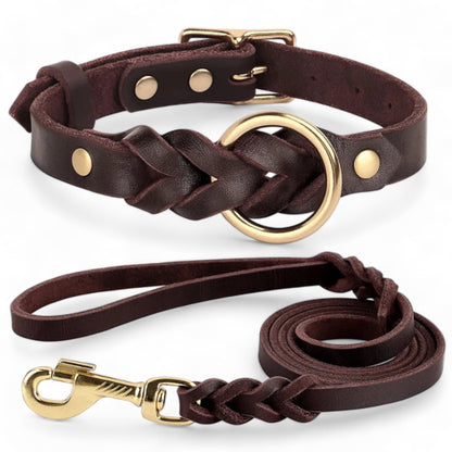 Rynx | Paws Braided Leather Set