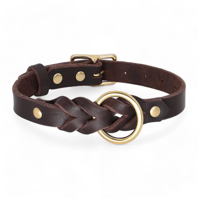 Rynx | Paws Braided Leather Set