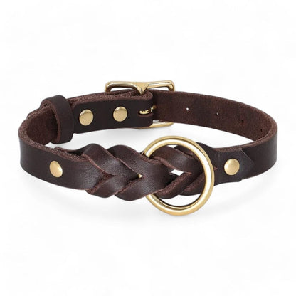 Rynx | Paws Braided Leather Set