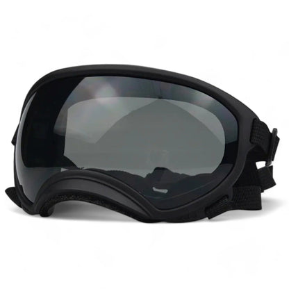 Rynx | Pup sunglasses