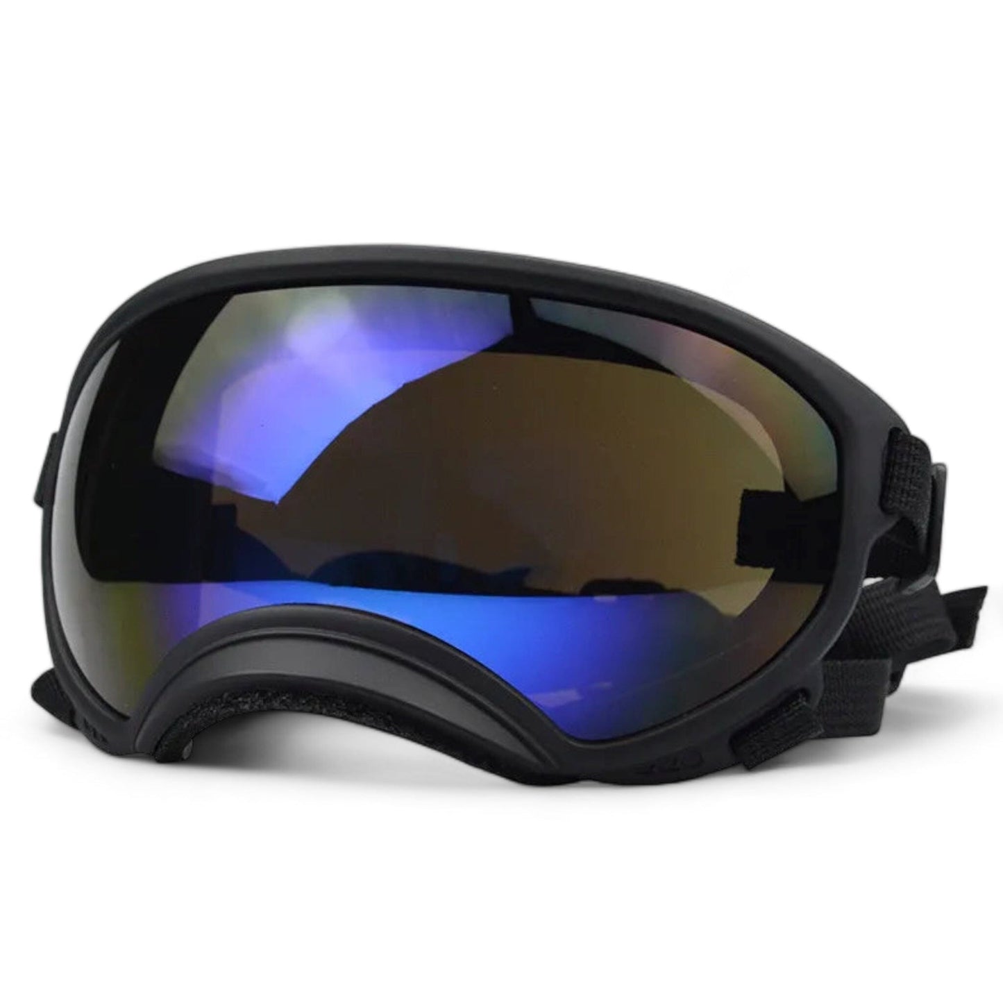Rynx | Pup sunglasses