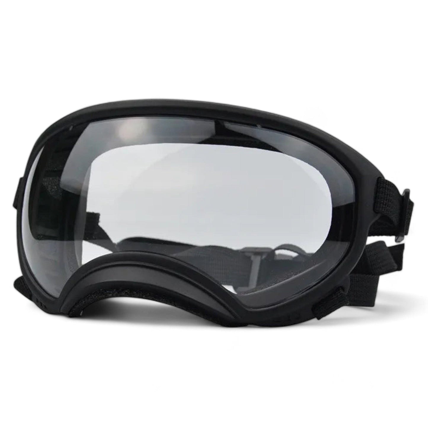 Rynx | Pup sunglasses