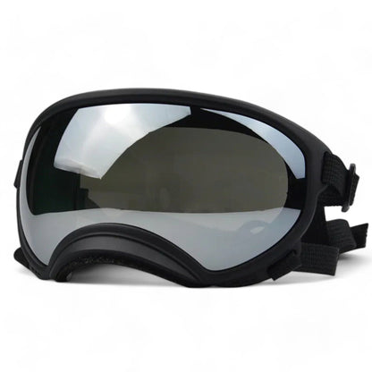 Rynx | Pup sunglasses