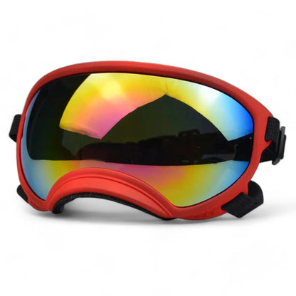 Rynx | Pup sunglasses