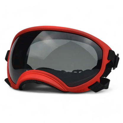 Rynx | Pup sunglasses